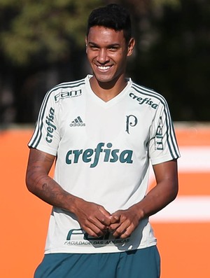 Antônio Carlos Palmeiras (Foto: Cesar Greco / Ag. Palmeiras)