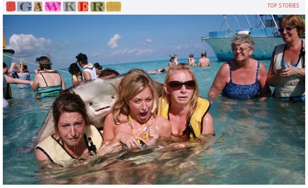 Grupo de turistas se assuta com arraia que saltou e 'posou' para foto, publicada pelo Gawker (Foto: Reprodução)