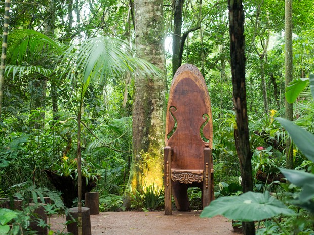 No meio da trilha, um trono de madeira convida à contação de histórias (Foto: Parque das Aves / Divulgação)