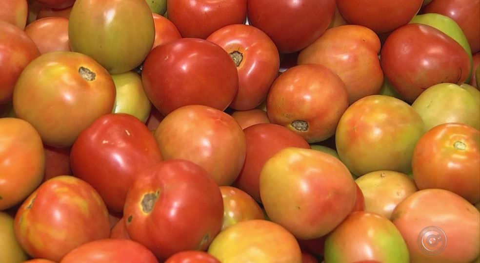 O tomate aparece como o produto que registrou a maior queda de preço em maio (Foto: Reprodução/TV TEM)