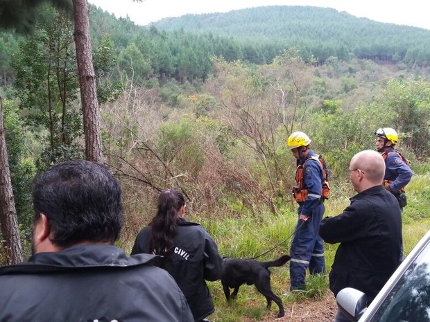 Cão farejador dos bombeiros encontrou corpo (Foto: Polícia Civil/Divulgação)