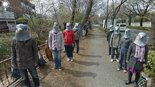 Grupo de pombas foi flagrado por serviço de mapas do Google (Foto: Reprodução/Google Street View)