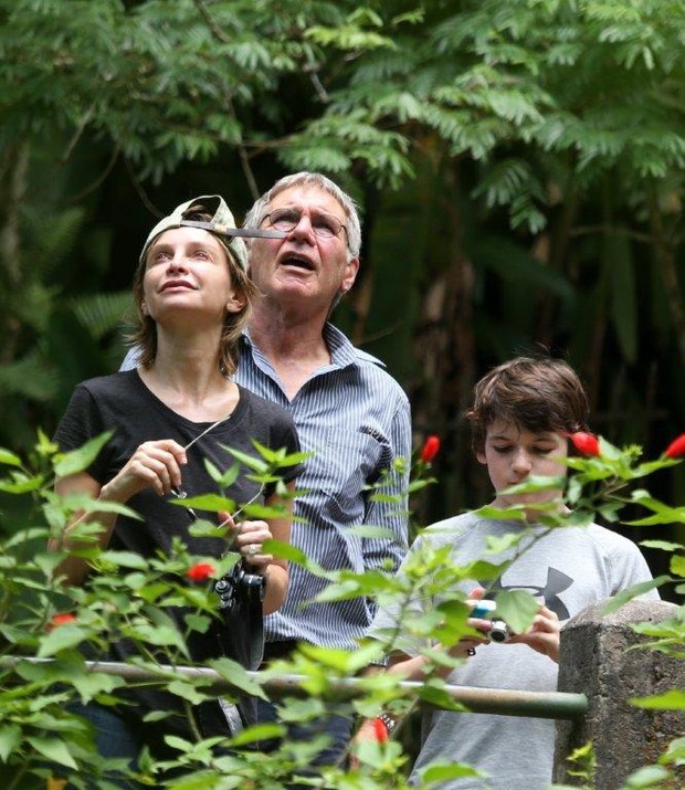Harrison Ford e Calista Flockhart (Foto: AgNews)