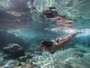 Dixie Pratt, ex de Romário, posta foto mergulhando no Havaí
