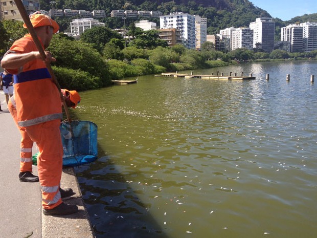 G Sobe Para T A Quantidade De Peixes Retirados Da Lagoa Rodrigo De