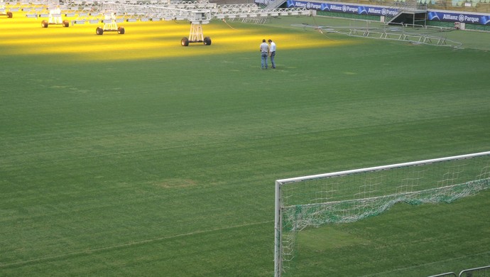 Arena do Palmeiras gramado (Foto: Felipe Zito)