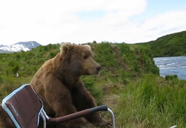 Homem recebeu visita surpresa enquanto observava ursos marrons em rio no Alasca (Foto: Reprodução/YouTube/Tani Enter)
