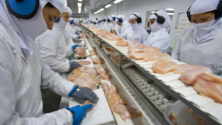 Aurora espera compensar dificuldades no mercado de carne suína com mais  exportação de frango - Revista Globo Rural