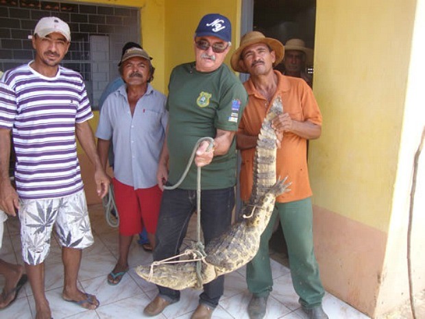 Animal foi capturado em residência no interior do Ceará (Foto: Richard Lopes/Arquivo pessoal)