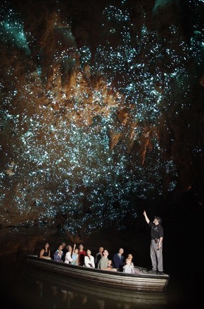 Caverna Do Ceu Estrelado Na Nova Zelandia Tem Larvas Fluorescentes Turismo E Viagem G1 Sonhar com céu estrelado pode ter três significados diferentes (foto: g1 globo