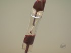 Associação de hemoterapia anuncia risco de falta de sangue no país