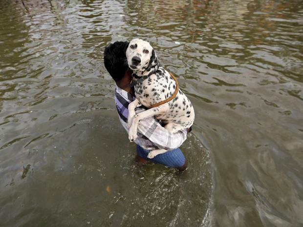 Homem atravessa área alagada levando no colo um cachorro em rua de Chennai, na Índia. A chuva forte das últimas semanas forçou o fechamento do aeroporto da cidade e bloqueou ruas e rodovias (Foto: Anindito Mukherjee/Reuters)