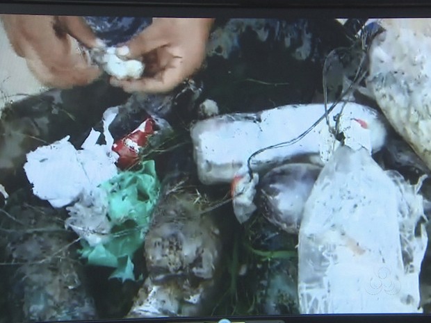 Drogas estavam dentro de garrafas no Iapen, em Macapá (Foto: Reprodução/TV Amapá)