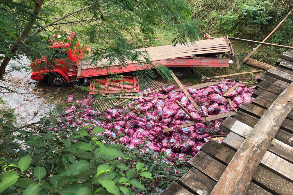Caminhão caiu da ponte na manhã desta terça-feira (16), em Presidente Prudente (Foto: Valmir Custódio/G1)