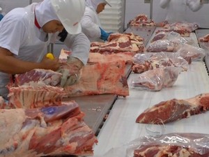 Carne bovina mato-grossense deve continuar competitiva no mercado internacional (Foto: Reprodução/TVCA)