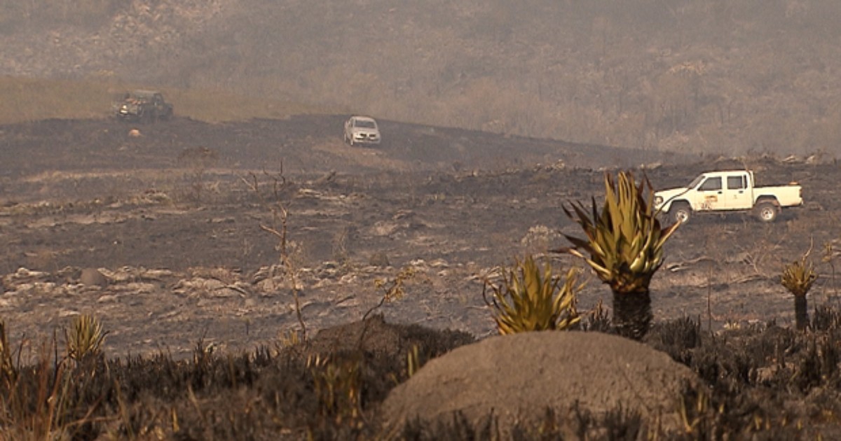 Instituto diz que fogo atingiu cerca de 22% do Parque da Serra do ... - Globo.com