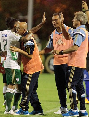 Feliz com primeiro gol no Verdão, Dudu prevê mais pressão no clube