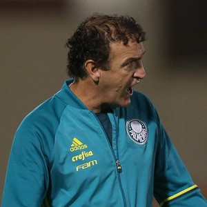 Veja os relacionados o Palmeiras contra o Grêmio, Cuca poupa seis titulares