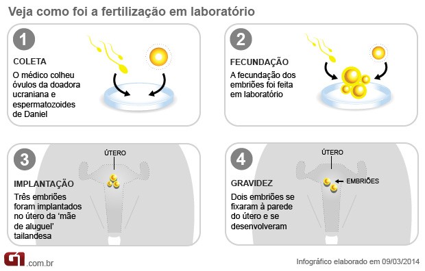 Infográfico sobre tratamento de fertilidade com barriga de alguel de Daniel Nascimento e Ole (Foto: Editoria de arte/G1)