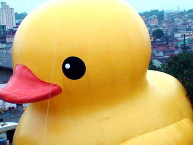 Pato é testado na cidade de Guarulhos, na Grande São Paulo (Foto: Reprodução/BBC)