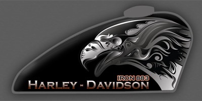 Harley-Davidson; customização; Forty-eight; tanque; Iron; Eagle (Foto: Divulgação)