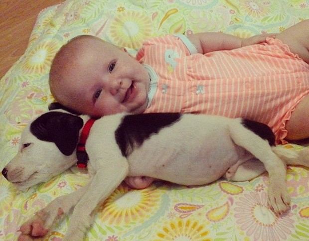 A americana Brandi Hodges registra amizade de 'dupla inseparável' (Foto: Reprodução/Instagram/brandileigh080) A americana Brandi Hodges registra amizade de 'dupla inseparável' (Foto: Reprodução/Instagram/brandileigh080)