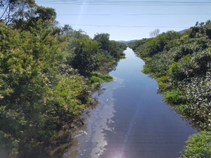 Perícia para avaliar poluição no Rio Papaquara (Foto: Sérgio Costa/Divulgação)