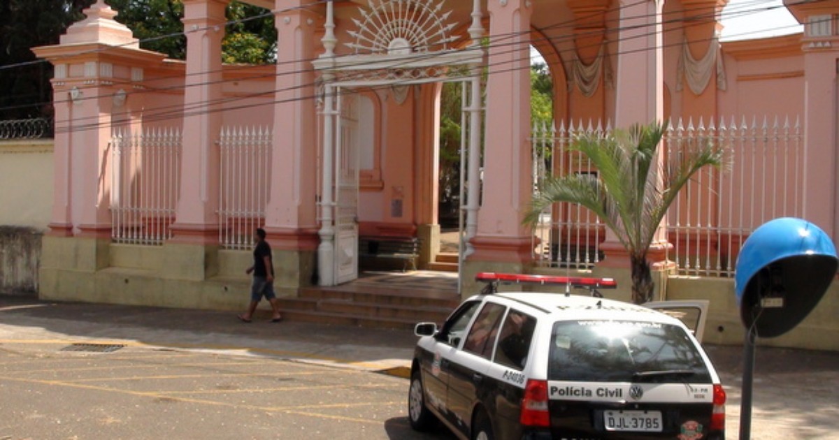 G Em Dias Gatos S O Encontrados Mortos Em Cemit Rio De