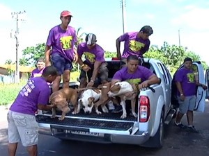 Enduro canino (Foto: Esporte10/TV Mirante)