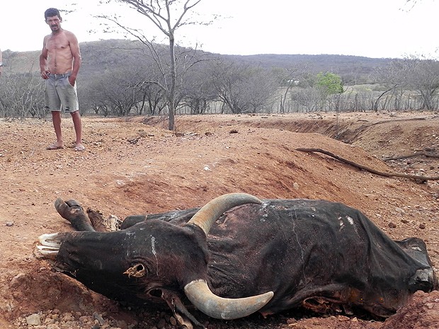 Antônio Silva viu seus animais morrerem de sede e de fome na Paraíba (Foto: Taiguara Rangel/G1)