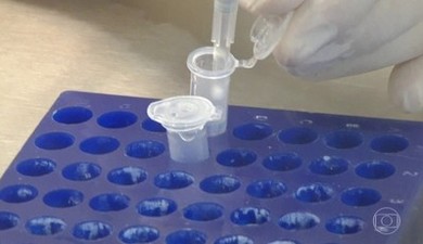 Cientistas tentam descobrir vacina contra ação da zika em bebês