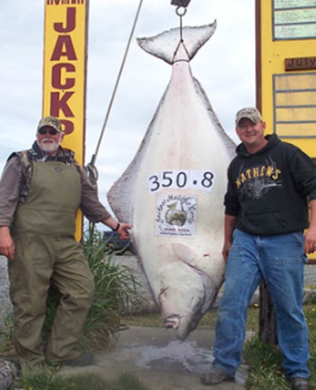 Em junho do ano passado, o americano Chad Aldridge e seu pai, Ron, fisgaram um peixe de 159,12 quilos próximo à cidade de Homer, no Alasca. Eles levaram uma hora e 20 minutos para conseguir erguer ao barco o peixe enorme. (Foto: Divulgação/ Homer Halibut Derby)