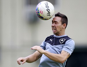 Lizio Botafogo (Foto: Vitor Silva / SSpress / Botafogo)