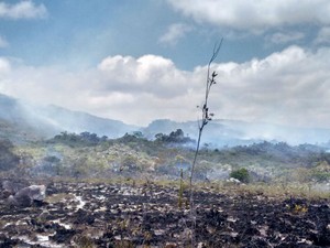 Fogo já destruiu área de 230 hectares na Chapada Diamantina (Foto: Dviulgação/Corpo de Bombeiros Militares)