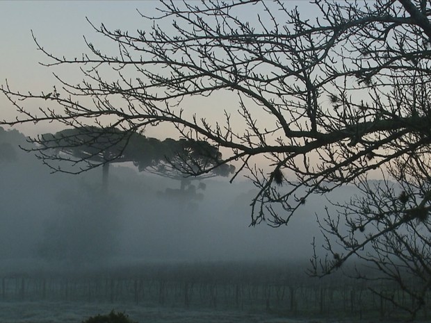 Resultado de imagem para foto de frio