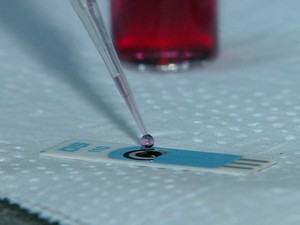 Sensor para leucemia funciona com substância proveniente da jaca (Foto: Ely Venâncio/EPTV)
