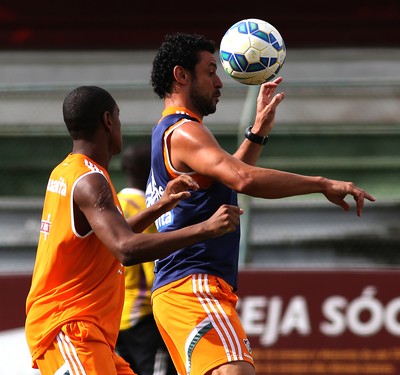 Fred Fluminense treino (Foto: Nelson Perez/Fluminense)