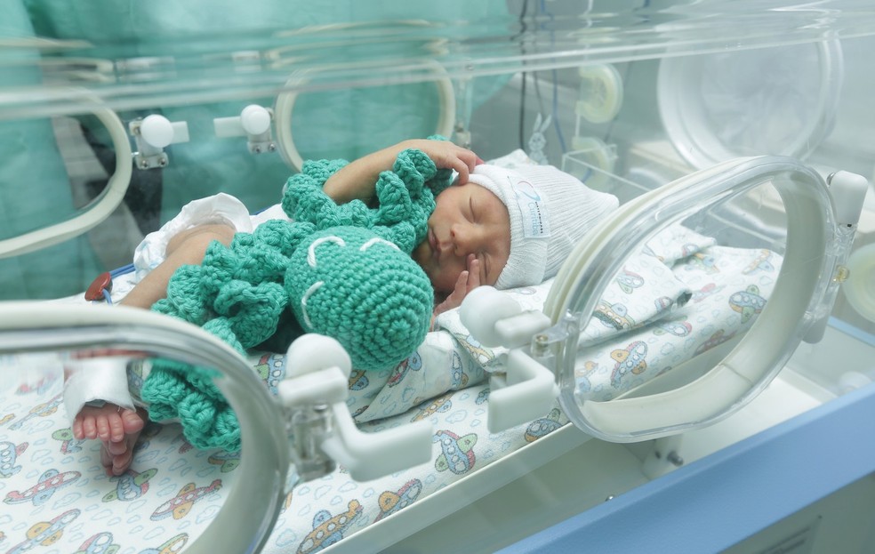 Polvos de crochê ajudam a acalmar bebês prematuros de Curitiba (Foto:  Giuliano Gomes/PR Press)