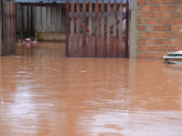 G1 Moradores ficam ilhados após forte chuva fazer rio transbordar em