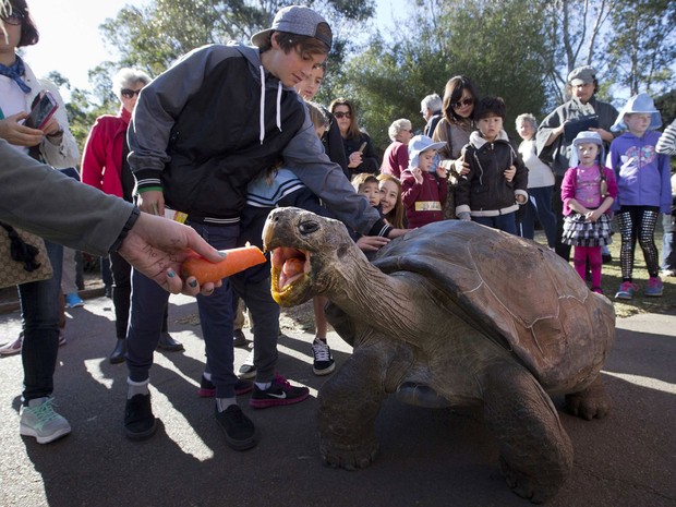 Tartaruga Hugo recebe comida sob os olhares de visitantes do parque (Foto: Jason Reed/Reuters)