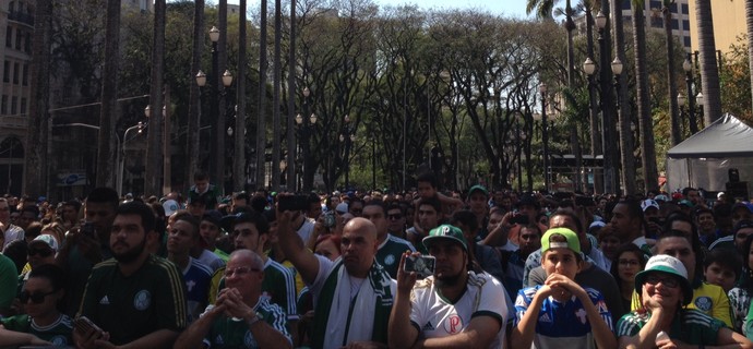 Palmeiras Festa Centenário (Foto: Sergio Gandolphi)