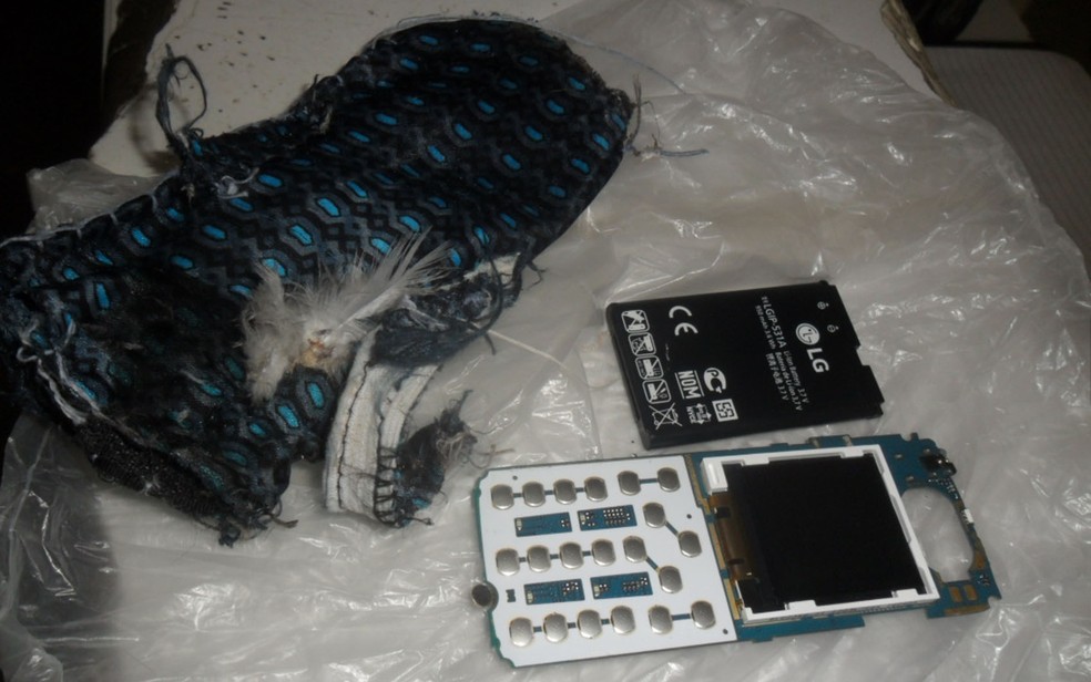Celular e bateria que estavam em colete de pombo (Foto: Divulgação/SAP)
