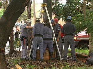 Bombeiros realizaram buscas em bueiro próximo à casa da família na manhã de quarta-feira, mas nada foi encontrado (Foto: Maurício Glauco/EPTV)