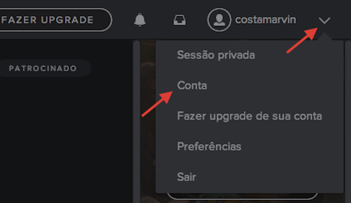 Acessando as configurações de uma conta do Spotify (Foto: Reprodução/Marvin Costa)