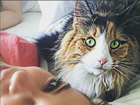 Paolla Oliveira posta selfie com gatinho e brinca: 'Meus olhos verdes'