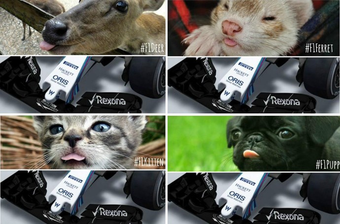 lotus montagem formula 1 (Foto: Editoria de Arte)