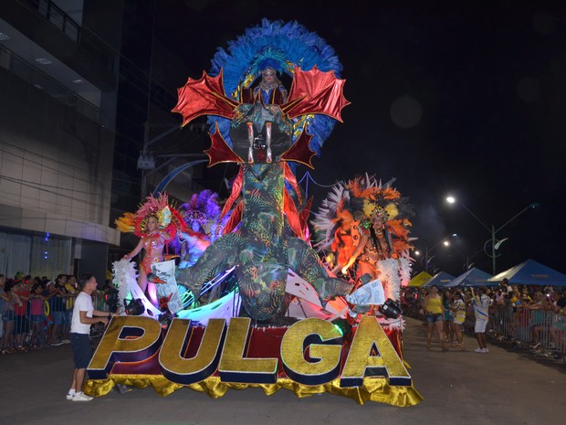 Bloco da Pulga carnaval 2016 (Foto: Karla Lima/G1)