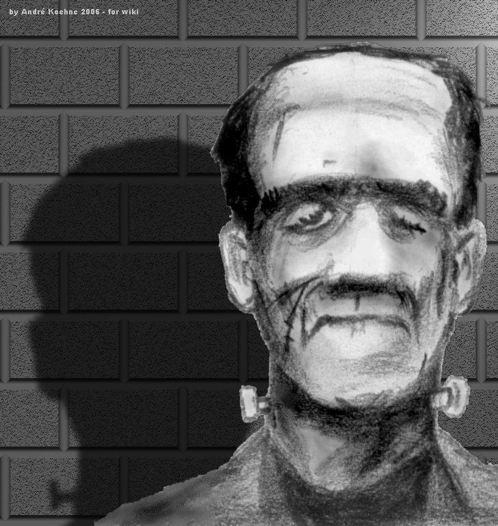 Frankenstein, ou O Prometeu moderno, de Mary Shelley (1797-1851), é um dos primeiros livros a trazer elementos do body horror como o definimos hoje (Foto: André Koehne/Wikimedia Commons)
