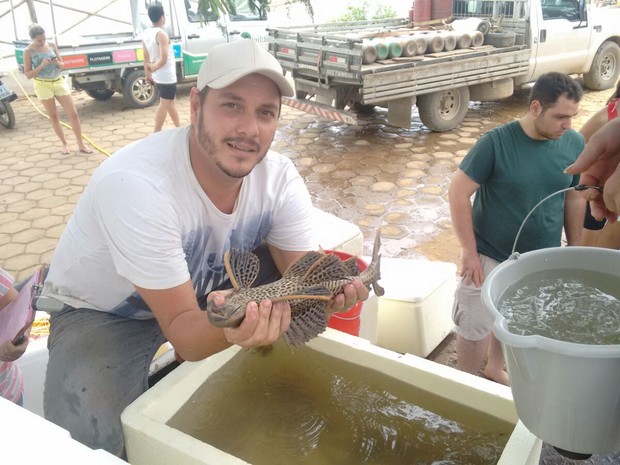 Peixes resgatados no Rio Doce, no ES, começam a ser soltos em lagoas 20151114093347
