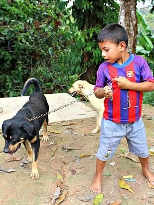 Cachorro guia menino perdido na selva por mais de 24 horas no AM (Marilene Silva / Rede Amazônica)